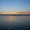 IMG_0579